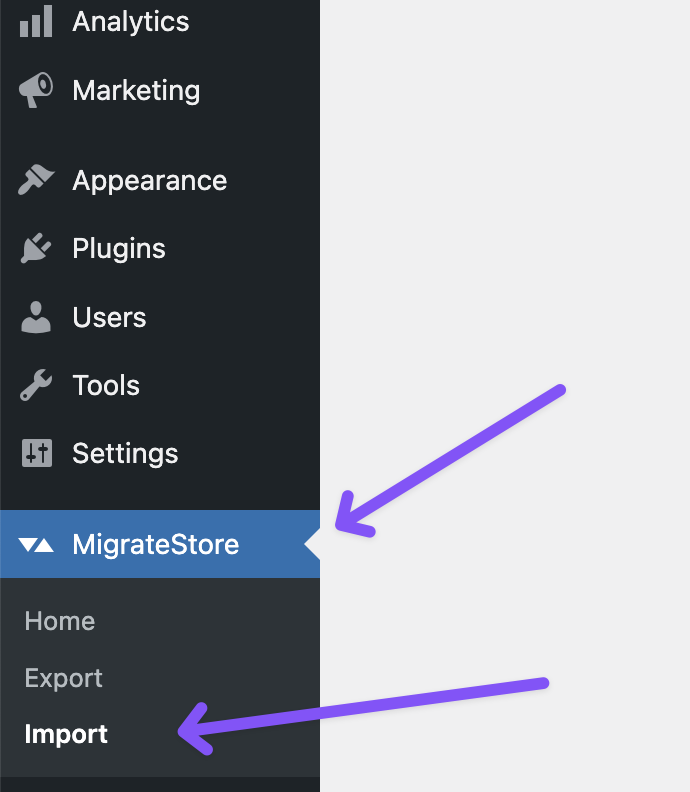 MigrateStore-Importoption im WordPress-Dashboard.