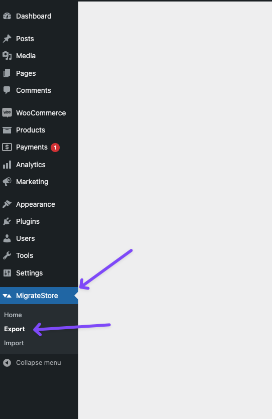 MigrateStore Menüpunkt im WordPress Dashboard.